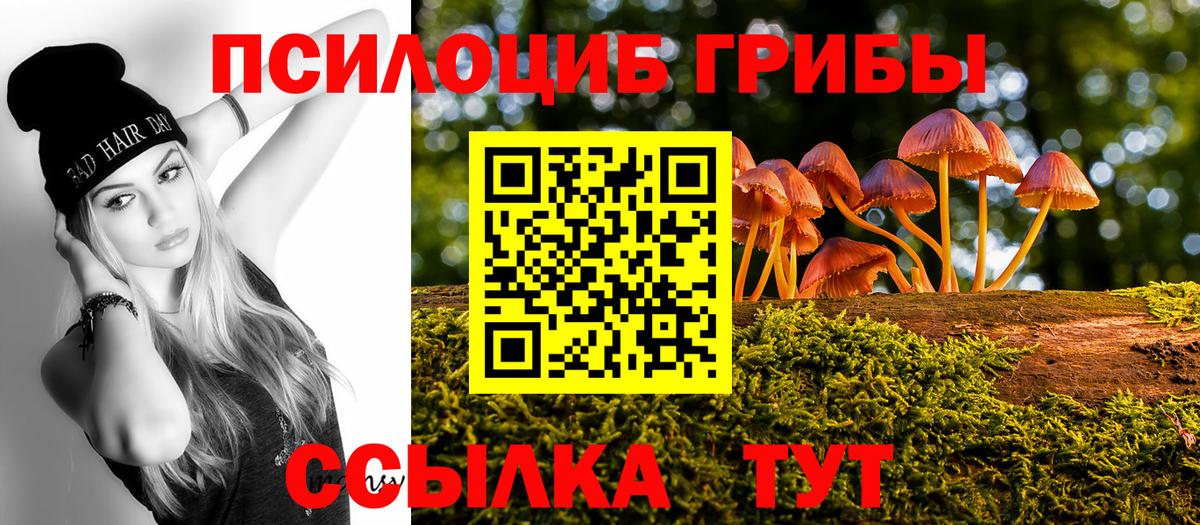 купить наркотики цена  Вход с VPN  Новый Уренгой  Псилоцибиновые грибы мицелий 